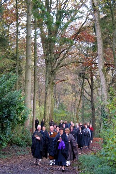 La marche en forêt Photo d'une marche en forêt